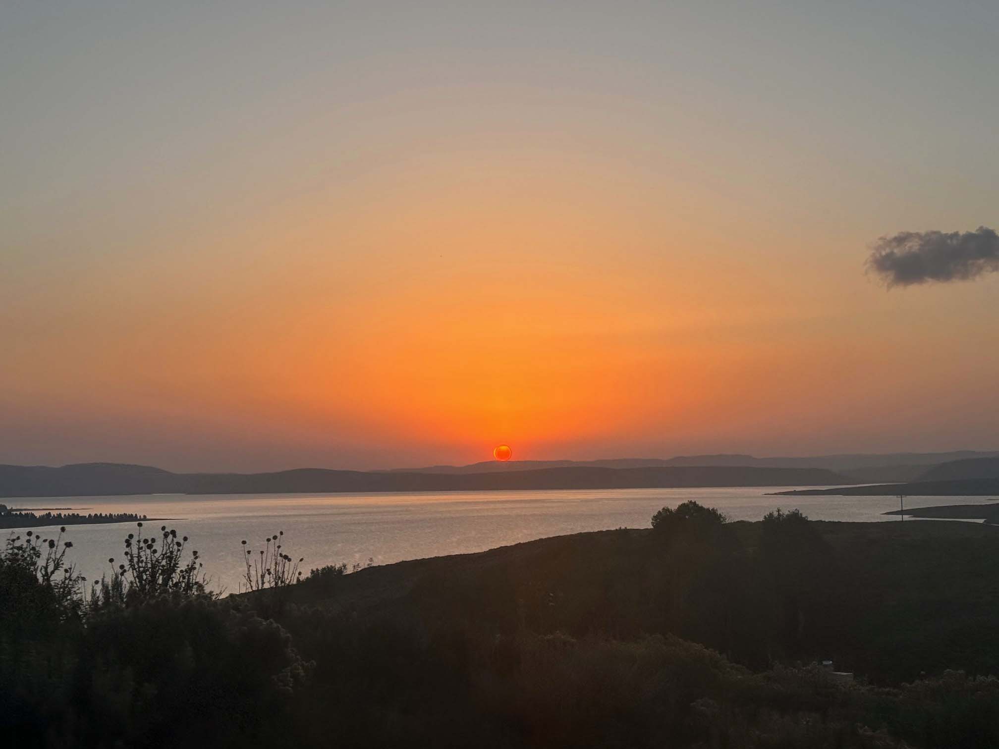 Strawberry Fishout Sunrise - Photo by club member Jennifer Raney Strawberry Fishout Sunrise