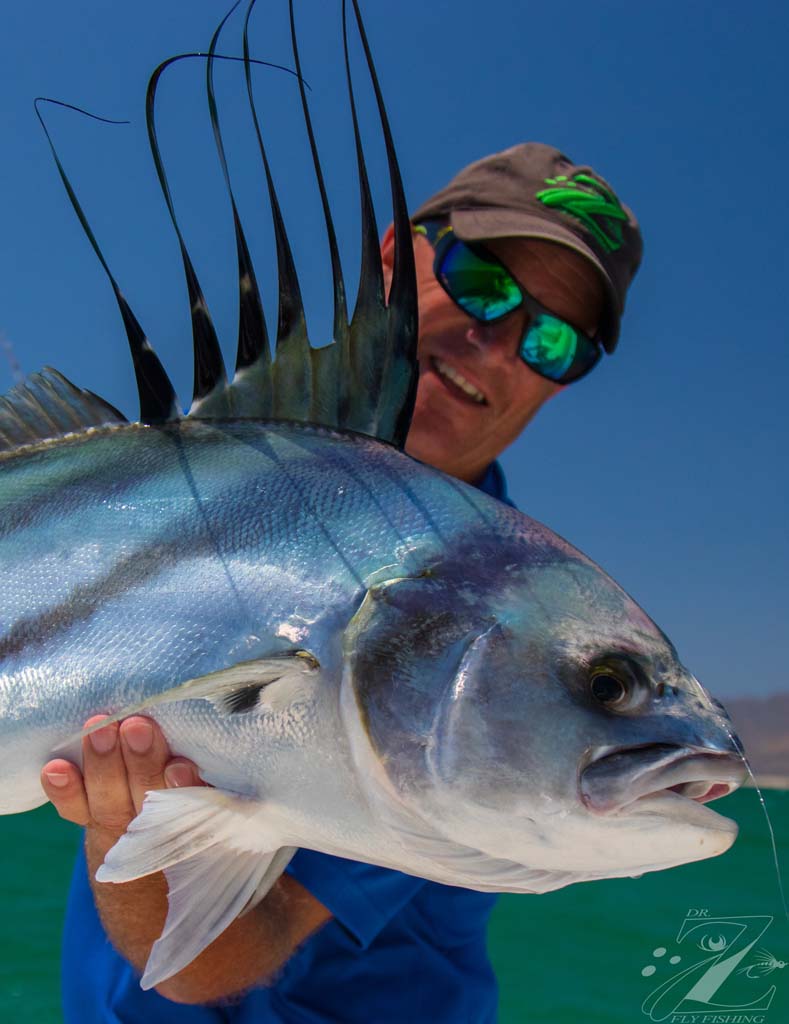 Roosterfish photo 3